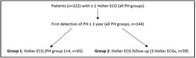 Incidence and prognostic significance of malignant arrhythmias during (repetitive) Holter electrocardiograms in patients with pulmonary hypertension